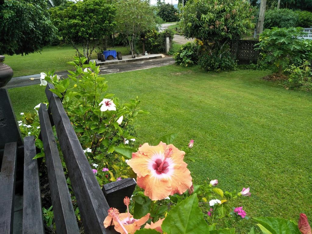 פאיאו Oui Kaew Homestay מראה חיצוני תמונה